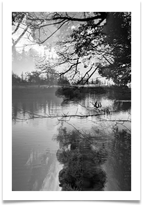 Pentax 3 - 2 - Chris Beesely